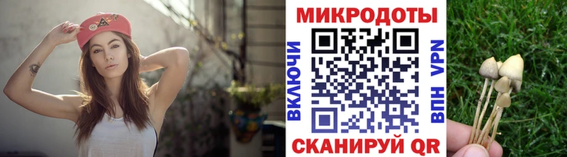 Купить  Тамбов  Галлюциногенные грибы Psilocybe 